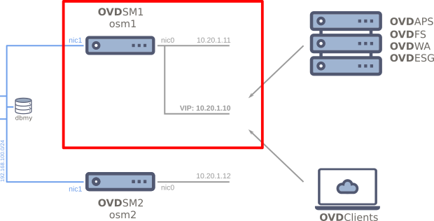 Install the VIP on osm1